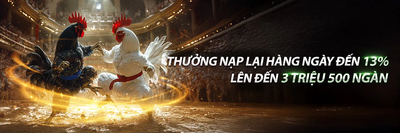 Hình ảnh chính PK88VN Đăng nhập
